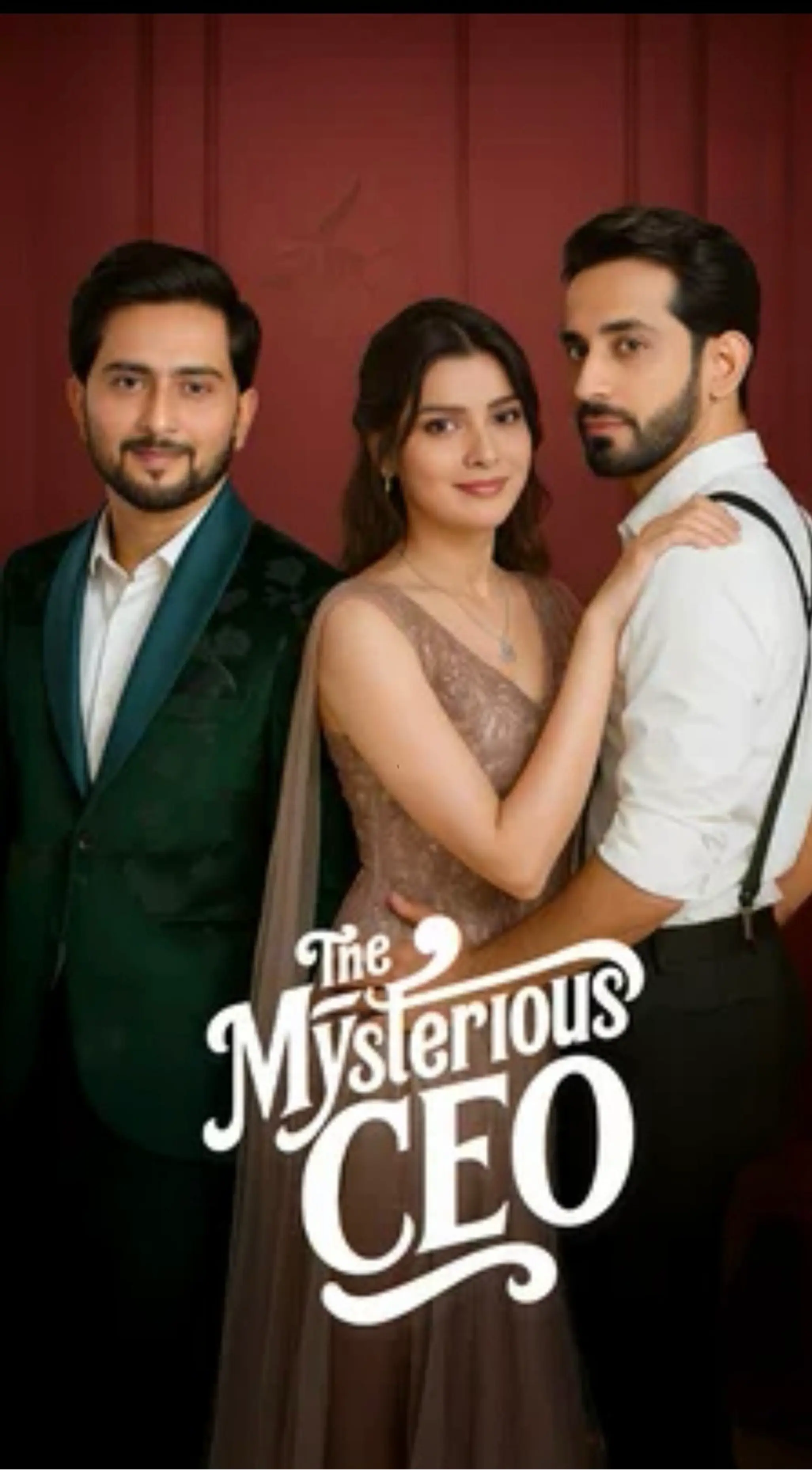 The Mysterious CEO